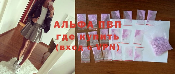бошки Тайга