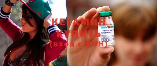 индика Тавда