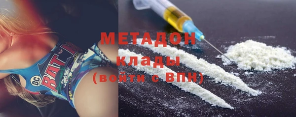 индика Тавда