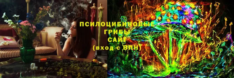 Галлюциногенные грибы Psilocybine cubensis  Дубовка 