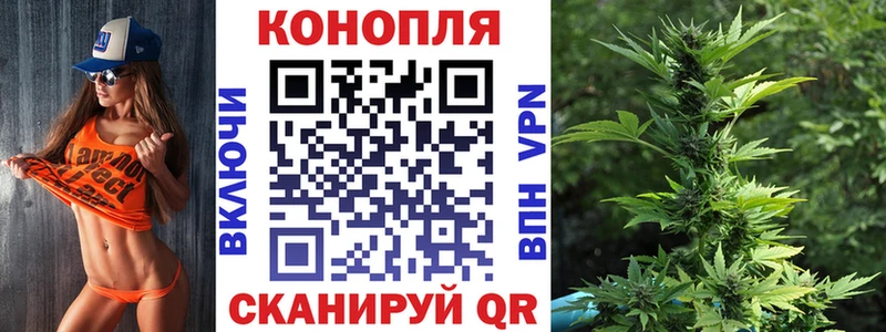 гидра вход  Дубовка  Бошки Шишки семена 
